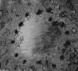 scan0029.jpg