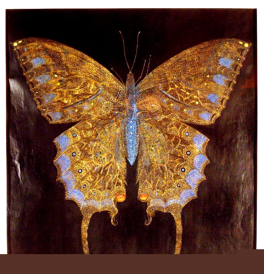 butterflyfinal.jpg